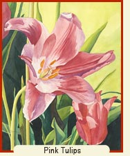 Watercolor painting - Pink Tulips