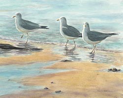 Watercolor painting - Gulls on the Shore