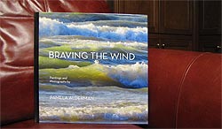 Braving the Wind book