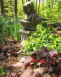 Pamela's garden in the early spring