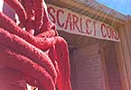 The Scarlet Cord entrance with “Raped” - yarn on loom art mounted on old weathered door, partially seen in foreground