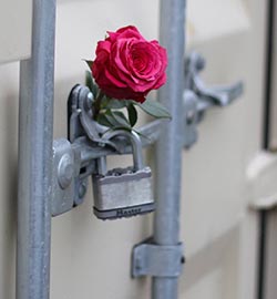 Rose in lock on storage container door