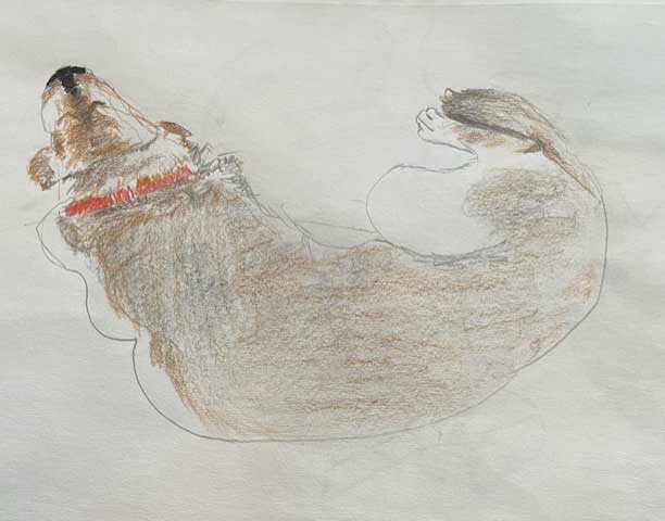 Pricilla's dog sketch